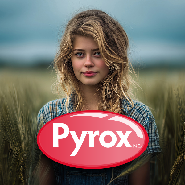 Vignette Gamme Pyrox NG